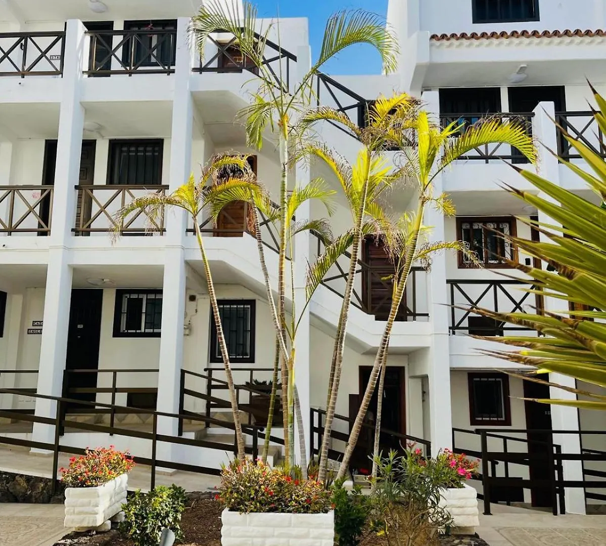 Duplex Michelle Parque Santiago I En Playa De Las Americas 西班牙