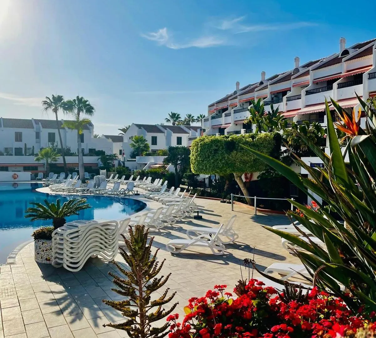 Duplex Michelle Parque Santiago I En Playa De Las Americas 公寓